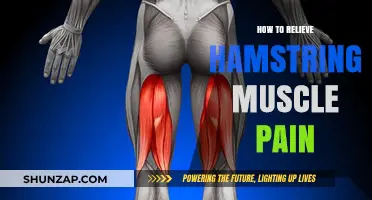 Effective Strategies to Relieve Hamstring Muscle Pain and Recover Faster