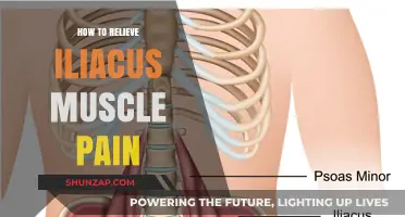 Effective Strategies to Relieve Iliacus Muscle Pain and Discomfort