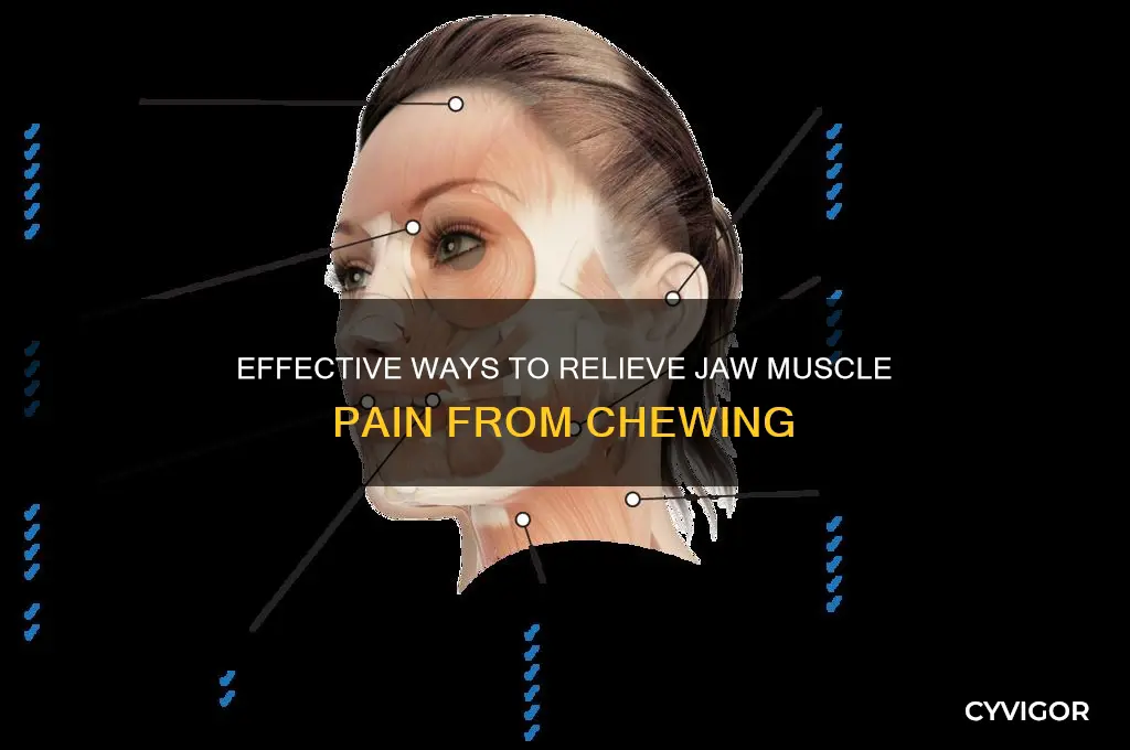 how to relieve jaw muscle pain from chewing