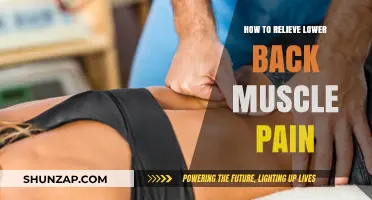 Effective Strategies to Relieve Lower Back Muscle Pain Fast
