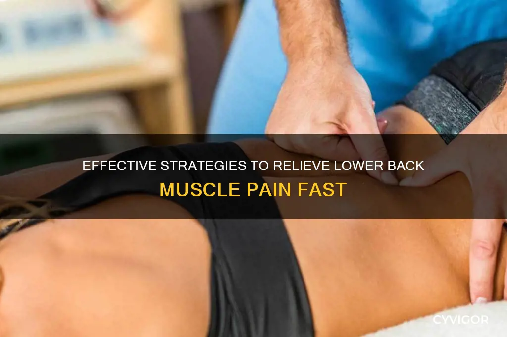 how to relieve lower back muscle pain