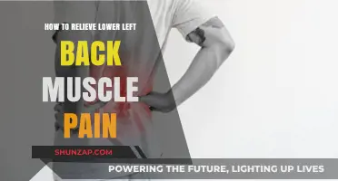 Effective Ways to Relieve Lower Left Back Muscle Pain Fast