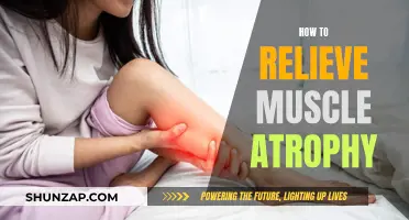 Relieving Muscle Atrophy: Strategies for Effective Rehabilitation
