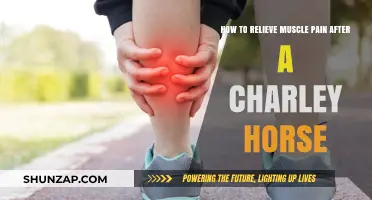 Effective Remedies to Relieve Muscle Pain After a Charley Horse