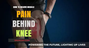 Effective Ways to Relieve Persistent Muscle Pain Behind the Knee