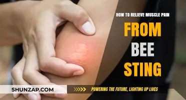 Effective Remedies to Soothe Muscle Pain from Bee Stings