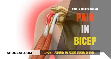 Effective Ways to Relieve Bicep Muscle Pain and Discomfort