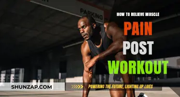 Effective Post-Workout Muscle Pain Relief Strategies for Faster Recovery