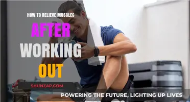 Effective Post-Workout Muscle Recovery Tips for Quick Relief and Relaxation