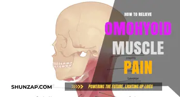 Effective Techniques to Relieve Omohyoid Muscle Pain and Discomfort