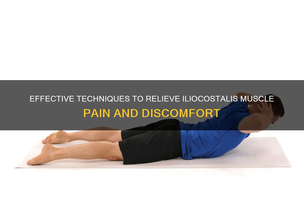how to relieve pain in iliocostalis muscle