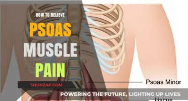 Effective Strategies to Relieve Psoas Muscle Pain and Improve Mobility