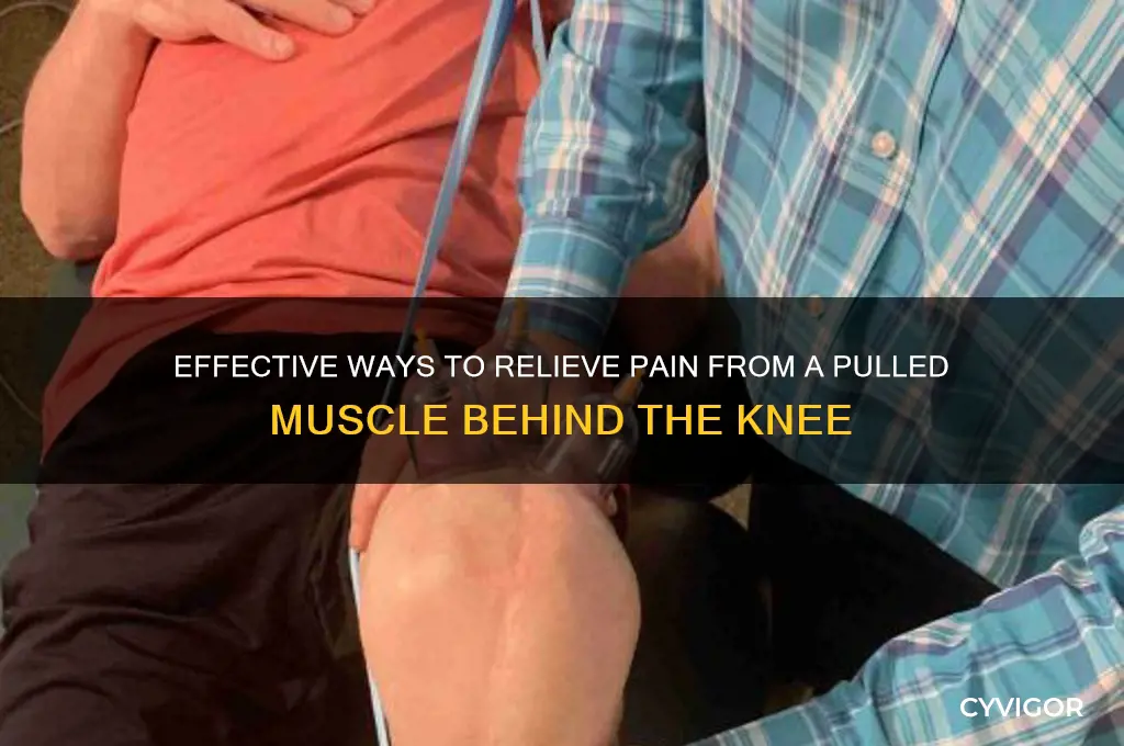 how to relieve pulled muscle behind knee