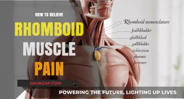 Effective Ways to Relieve Rhomboid Muscle Pain and Discomfort