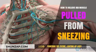 Relieve Pulled Rib Muscles from Sneezing: Quick and Effective Tips