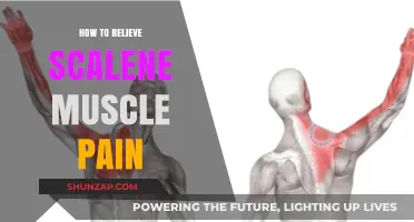 Effective Techniques to Relieve Scalene Muscle Pain and Discomfort