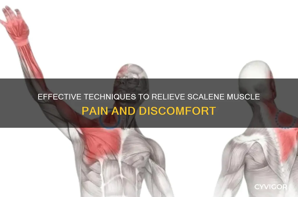 how to relieve scalene muscle pain