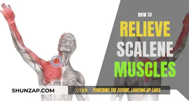 Relieving Tension in Your Neck: Targeting the Scalenes