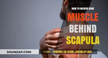 Effective Ways to Relieve Sore Muscles Behind Your Scapula