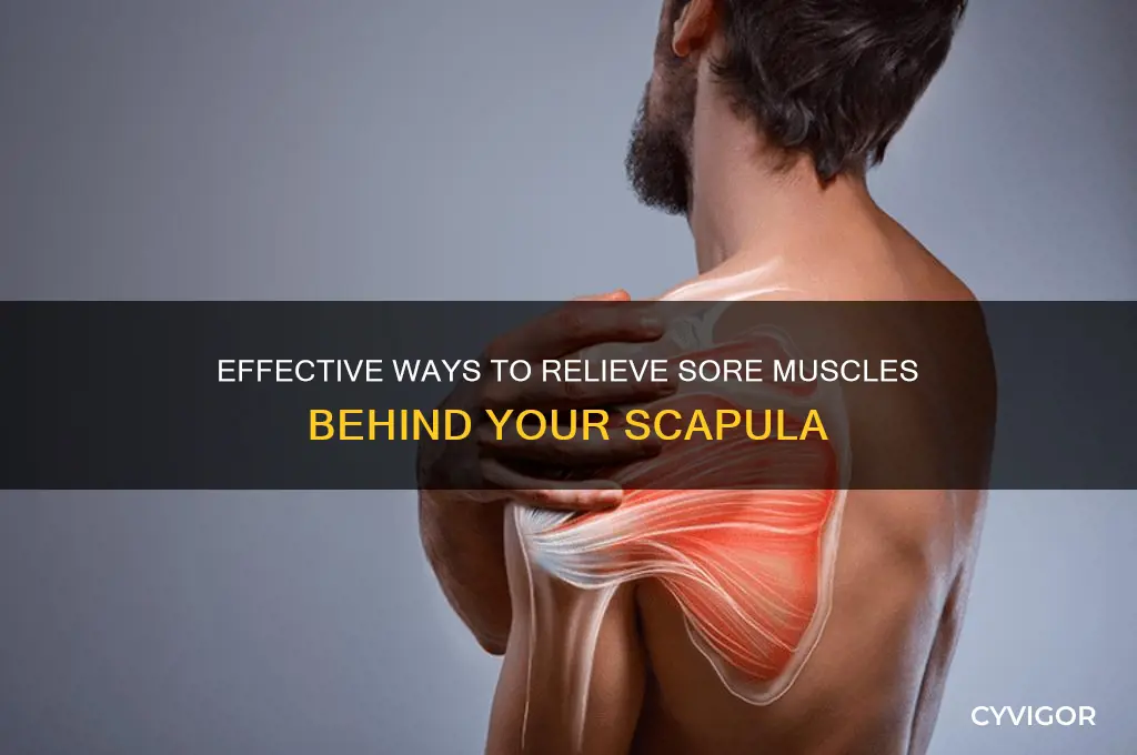 how to relieve sore muscle behind scapula