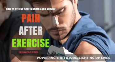 Effective Post-Workout Recovery Tips to Ease Sore Muscles and Pain