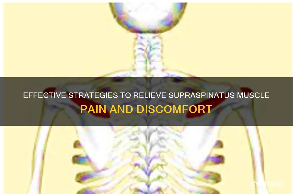 how to relieve supraspinatus muscle pain