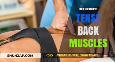 Ease Your Ache: Simple Tips to Relieve Tense Back Muscles
