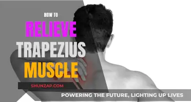 Relieving Trapezius Muscle Tension: Simple and Effective Techniques