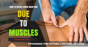 Relieve Lower Back Pain: Muscle-Focused Techniques for Quick Comfort