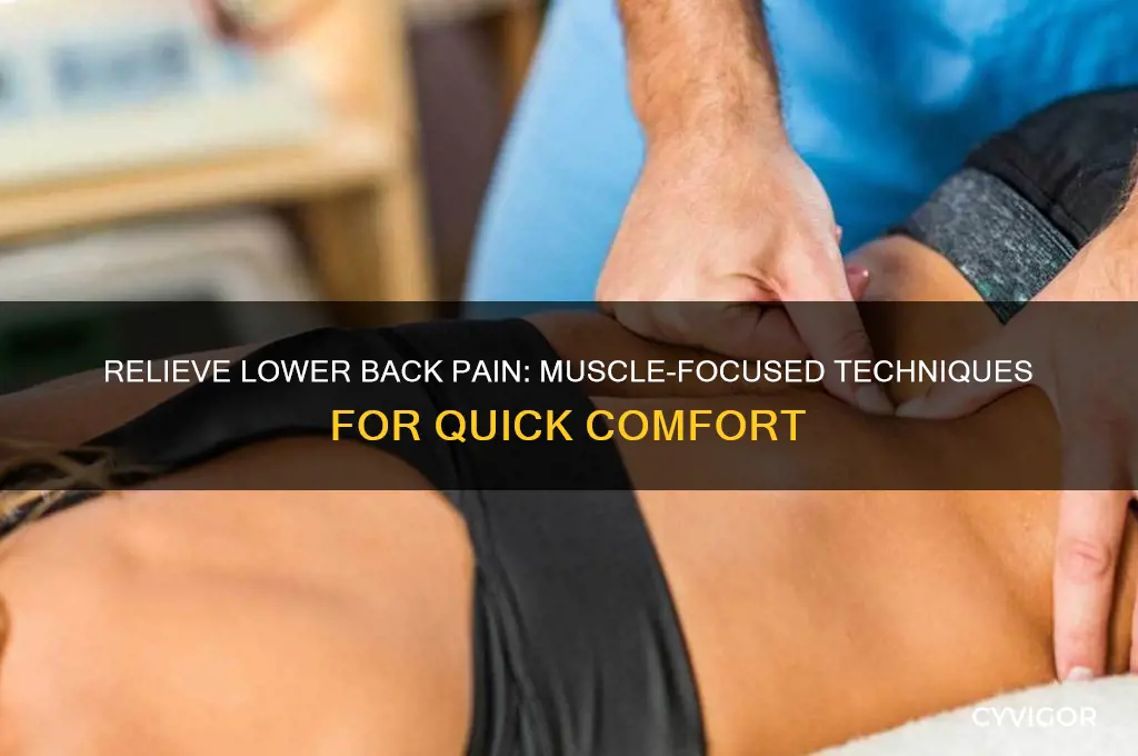 how to relive lower back pain due to muscles