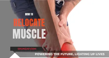 Relocating Muscles: Techniques for Targeted Muscle Relief and Mobility