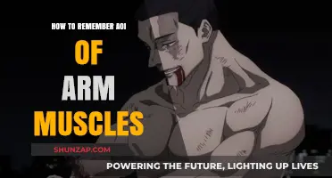 Mastering Arm Muscle AOI: Effective Memorization Techniques for Anatomy