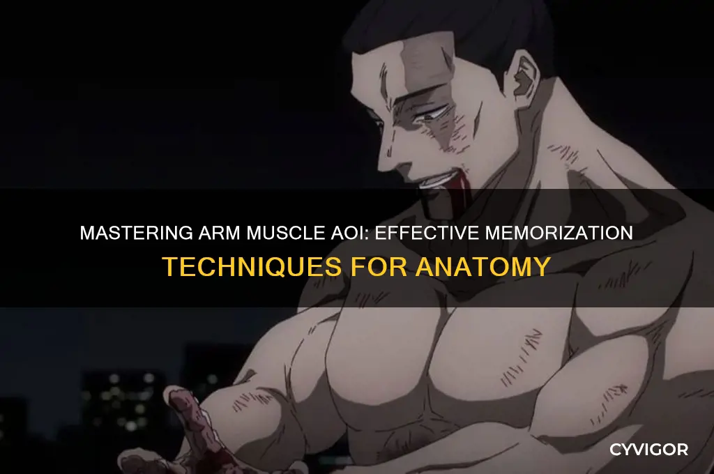 how to remember aoi of arm muscles