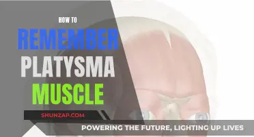 Remembering the Platysma Muscle: A Simple 3-Step Method