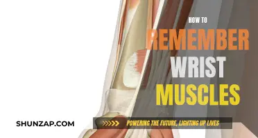 Wrist Muscles: Easy Tricks to Remember Their Names and Functions