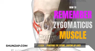 Use Your Zygomaticus Muscle to Remember It Better