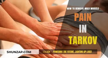 Effective Ways to Relieve Mild Muscle Pain in Escape from Tarkov