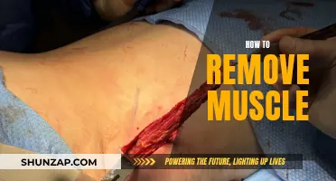 Efficiently Reducing Muscle: A Guide to Achieving a Leaner Physique