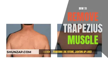 Relieving Trapezius Muscle Pain and Discomfort: A Comprehensive Guide