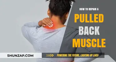 Effective Ways to Heal and Repair a Pulled Back Muscle