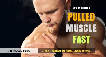 Quick Recovery Tips: Repairing a Pulled Muscle Fast and Effectively