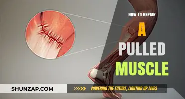 Effective Pulled Muscle Repair: Quick Recovery Tips and Techniques