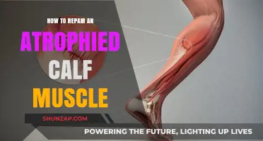 Revitalize Your Calves: A Guide to Repairing Atrophied Calf Muscles