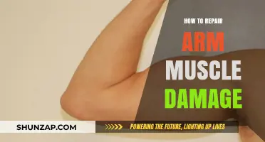Effective Strategies to Repair and Recover from Arm Muscle Damage