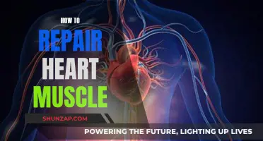 Repairing Heart Muscle: The Ultimate Guide to Cardiac Healing