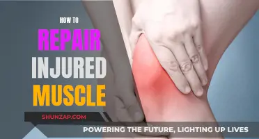 Repairing Injured Muscles: A Guide to Quick Recovery
