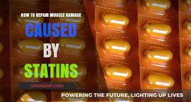 Repairing Muscle Damage: Reversing Statin-Induced Injury
