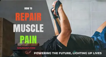 Effective Strategies to Repair Muscle Pain and Enhance Recovery