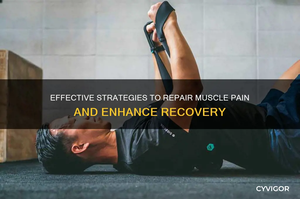 how to repair muscle pain