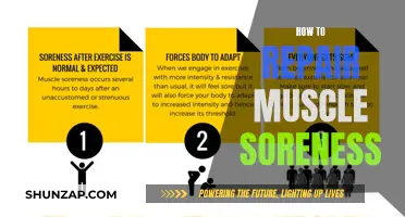 Repairing Muscle Soreness: Natural Ways to Heal and Recover